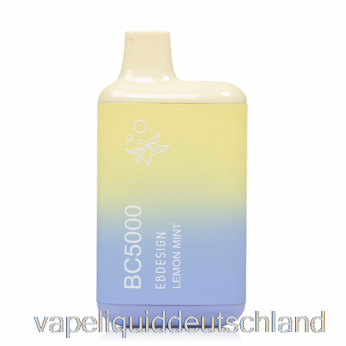 BC5000 Einweg-Zitronen-Minze-Vape-Flüssigkeit